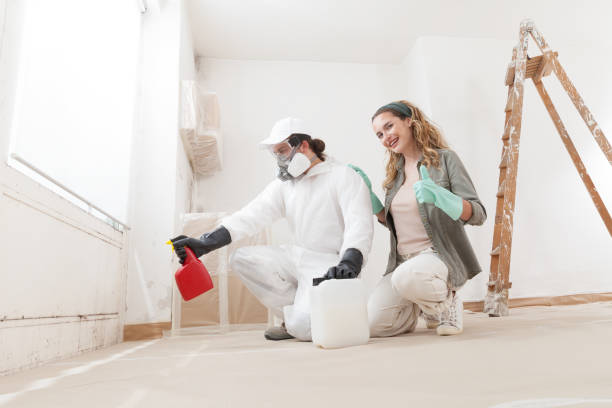 Best Mold Remediation for Healthcare Facilities  in The Hills, NJ
