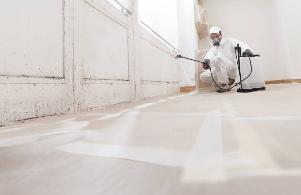 Best Mold Damage Restoration  in The Hills, NJ