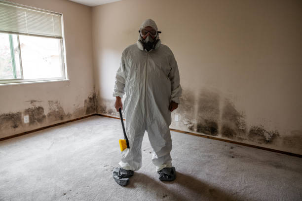 Best Biohazard Mold Removal  in The Hills, NJ